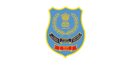 Directorate of Revenue Intelligence logo